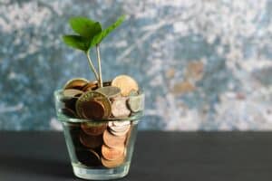 Grow your credit